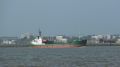 Zapadnyy - estuaire - 26 janvier 2013.JPG